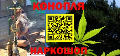 крисы Малгобек