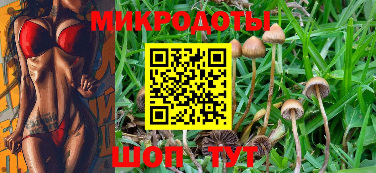 Тверь  Псилоцибиновые грибы Psilocybine cubensis  Галлюциногенные грибы ЛСД  Вход с VPN 